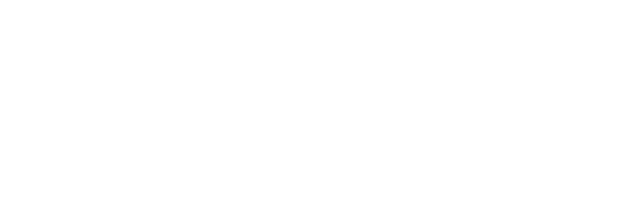 Zappy